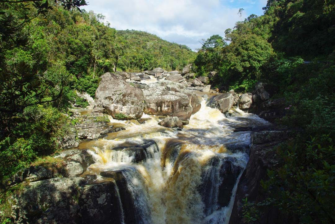 Parc National de Ranomafana